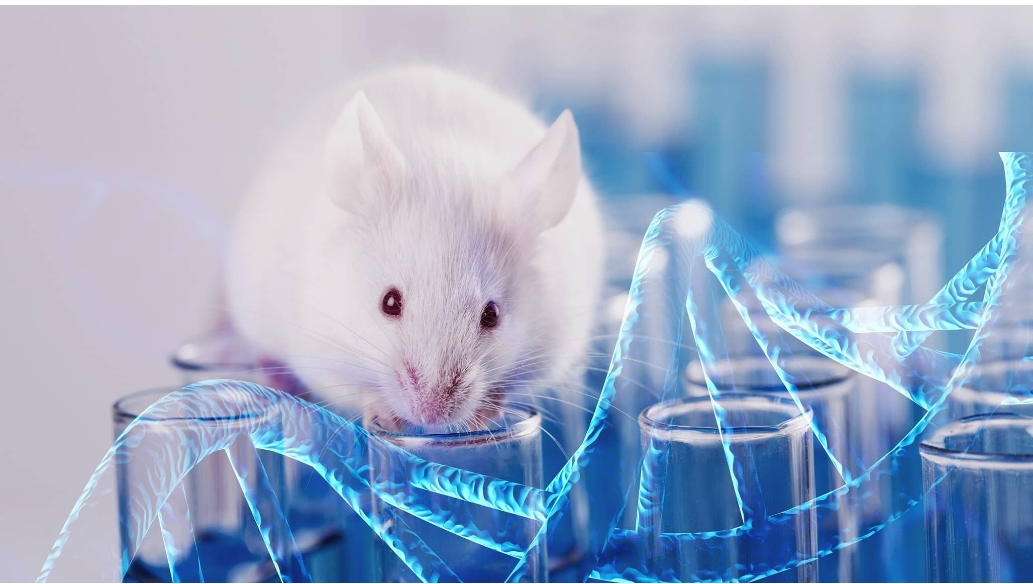 Animal ID and Monitoring for Preclinical Oncology