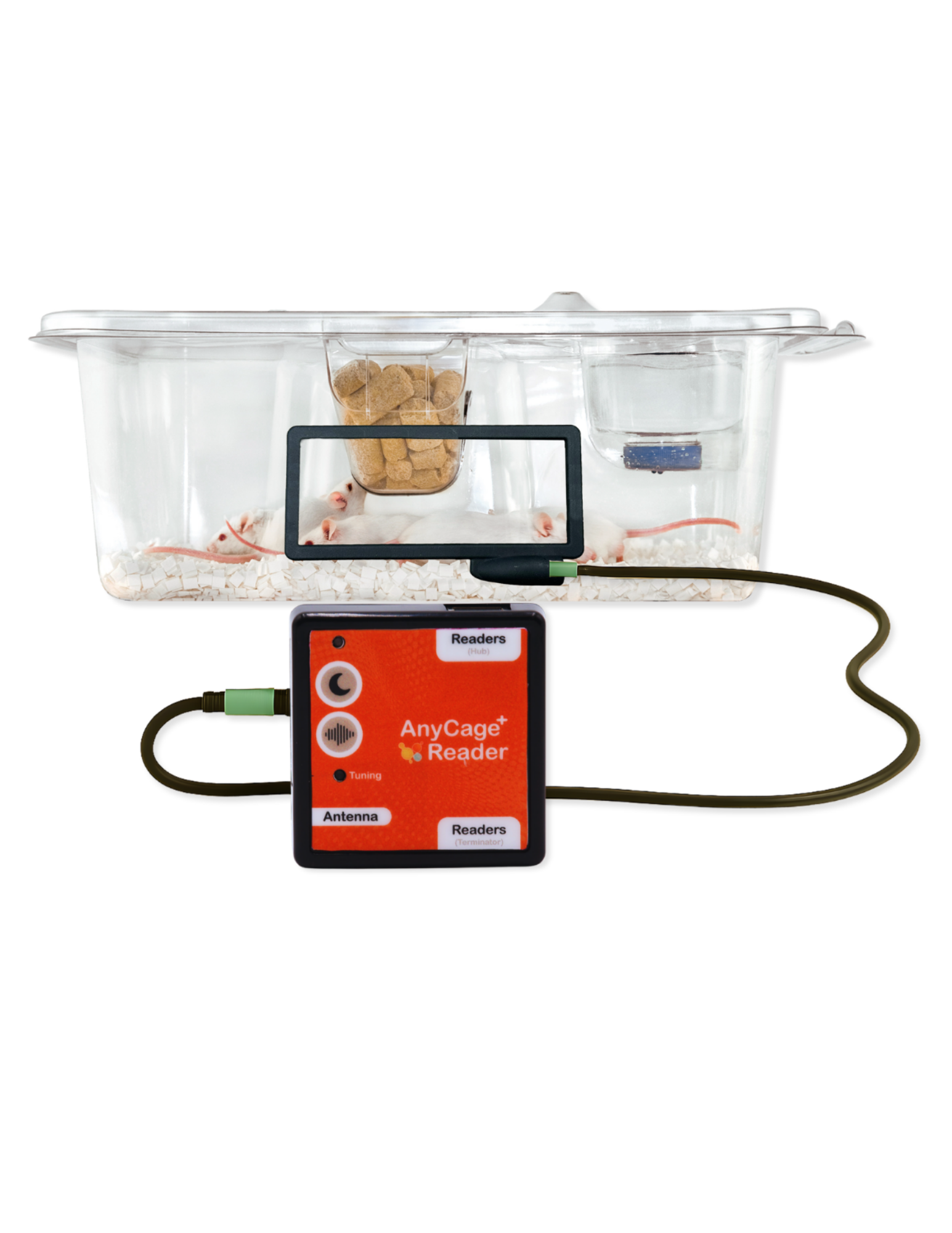 Home Cage Monitoring