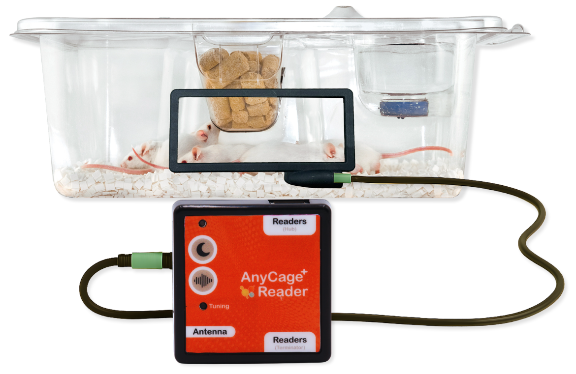 Mice in a home cage with AnyCage+ reader mounted on the side