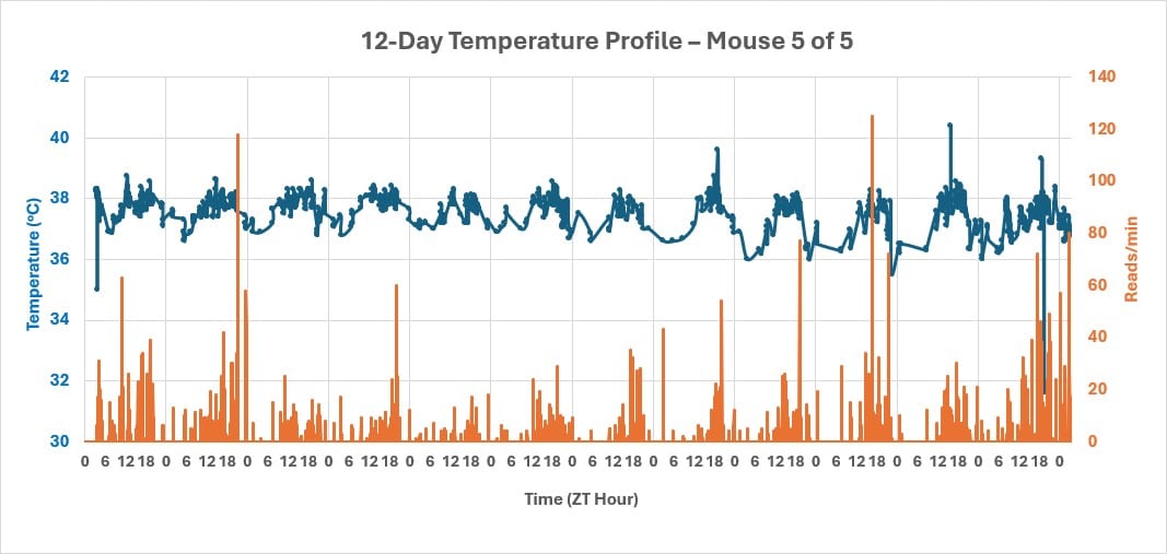 Temperature data chart recorded over 12 days from Mouse 5 of five group-housed mice using a single rectangular antenna