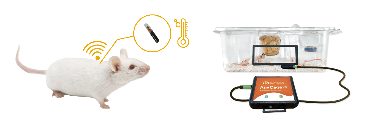 Illustration of a mouse in a home cage with the AnyCage Lite antenna mounted above