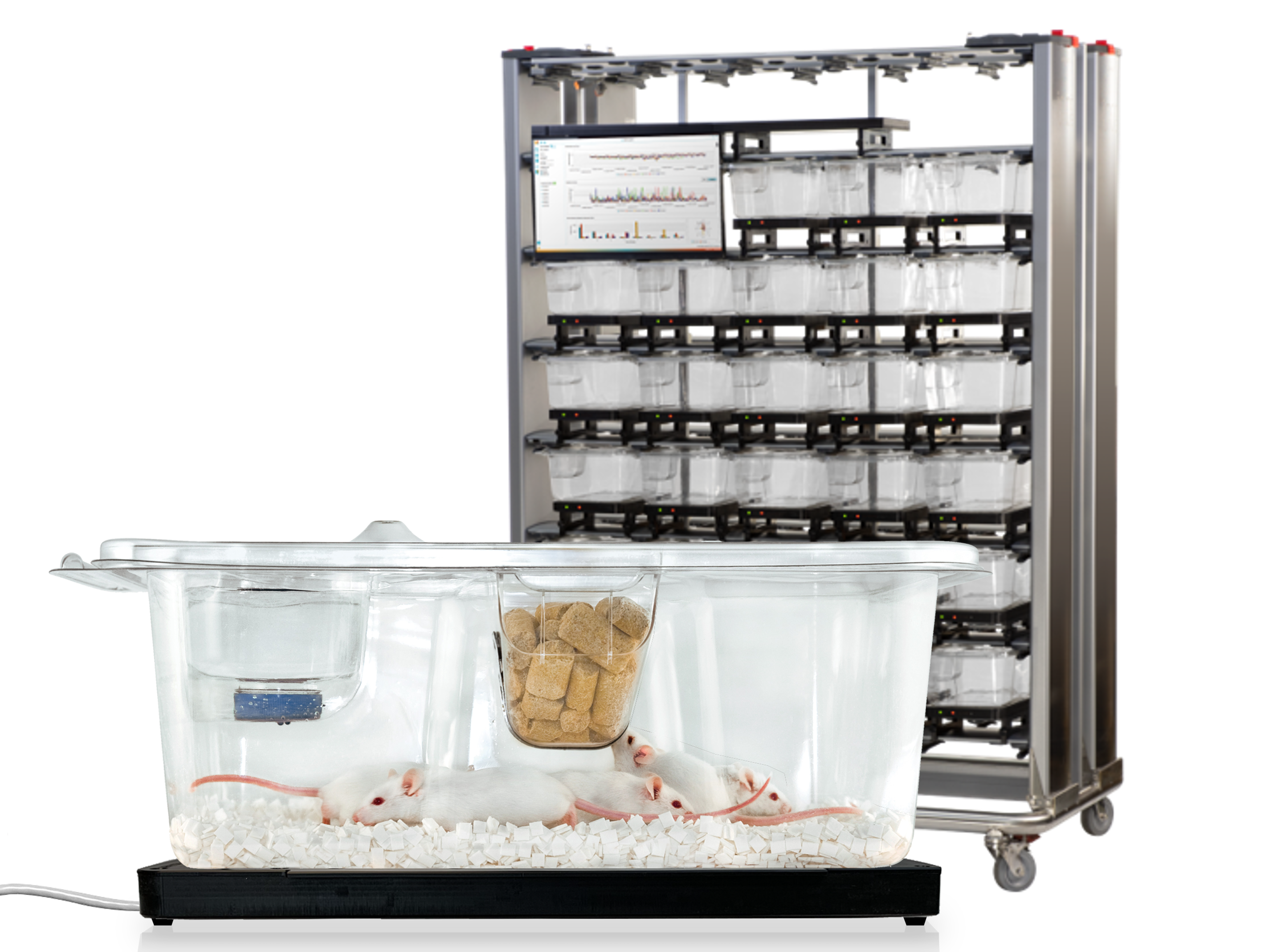 Mouse Matrix plates installed on a rack with mouse cages